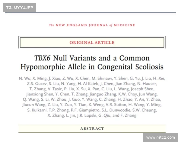巴舒亚伊语言特点与文化传承的深层次联系探讨